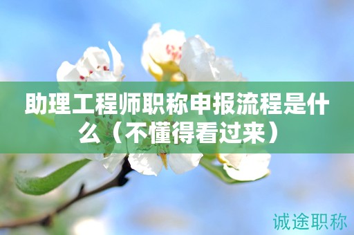 助理工程师职称申报流程是什么（不懂得看过来）