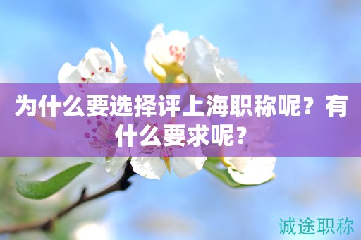 为什么要选择评上海职称呢？有什么要求呢？
