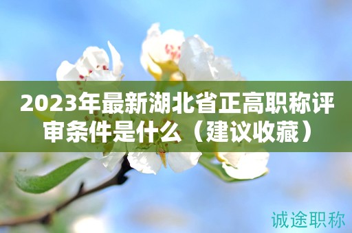 2023年最新湖北省正高职称评审条件是什么（建议收藏）