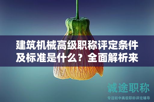 建筑机械高级职称评定条件及标准是什么？全面解析来啦