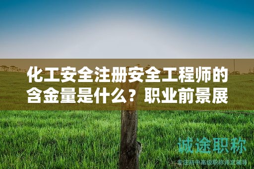 化工安全注册安全工程师的含金量是什么？职业前景展望