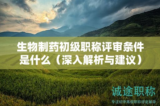 生物制药初级职称评审条件是什么（深入解析与建议）