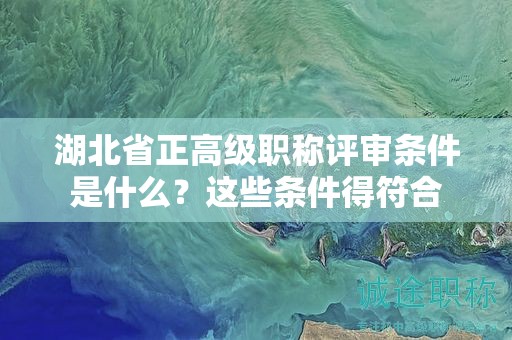 湖北省正高级职称评审条件是什么？这些条件得符合