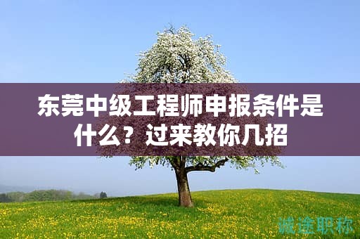 『东莞中级工程师申报条件是什么，过来教你几招』