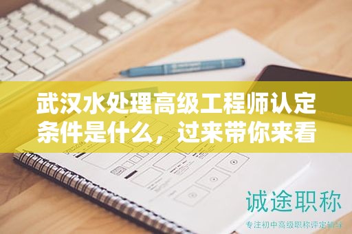 武汉水处理高级工程师认定条件是什么，过来带你来看看