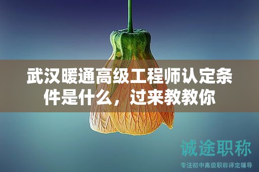 武汉暖通高级工程师认定条件是什么，过来教教你