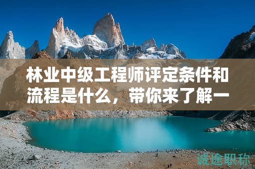 林业中级工程师评定条件和流程是什么，带你来了解一下