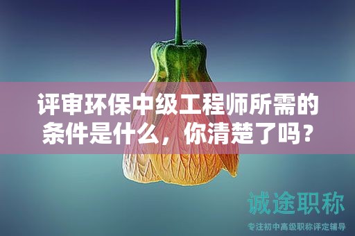 评审环保中级工程师所需的条件是什么，你清楚了吗？