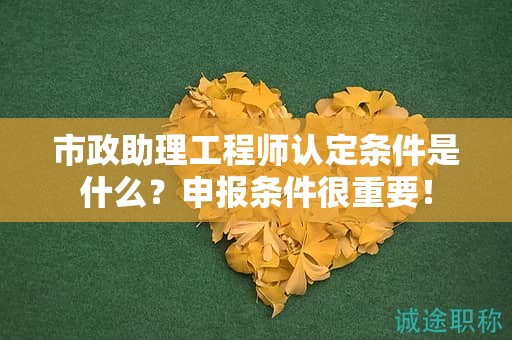 2024年市政助理工程师认定条件是什么？申报条件很重要！