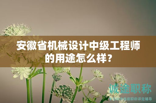 安徽省机械设计中级工程师的用途怎么样？