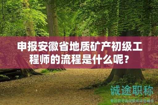 申报安徽省地质矿产初级工程师的流程是什么呢？