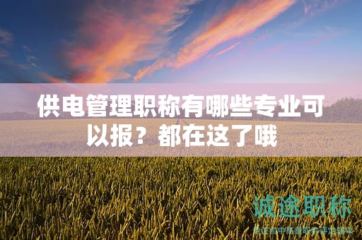 供电管理职称有哪些专业可以报？都在这了哦