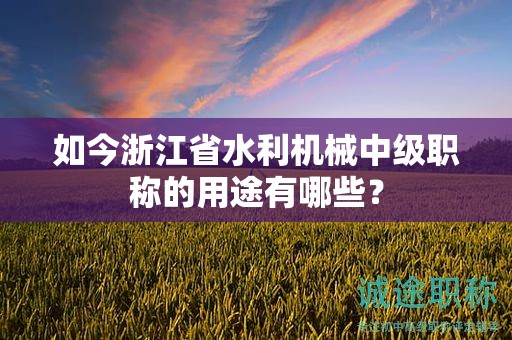 如今浙江省水利机械中级职称的用途有哪些？