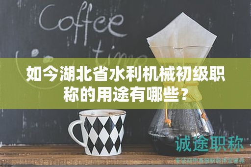 如今湖北省水利机械初级职称的用途有哪些？