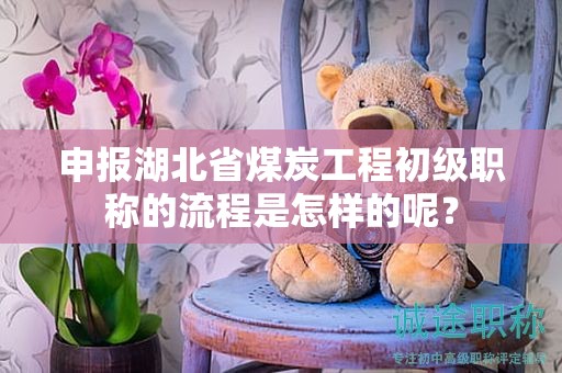 申报湖北省煤炭工程初级职称的流程是怎样的呢？