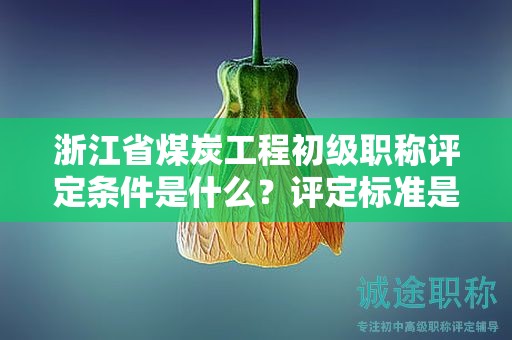 浙江省煤炭工程初级职称评定条件是什么？评定标准是什么？