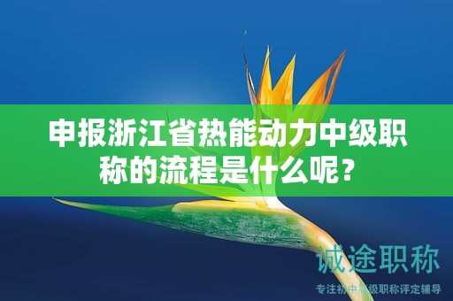 申报浙江省热能动力中级职称的流程是什么呢？