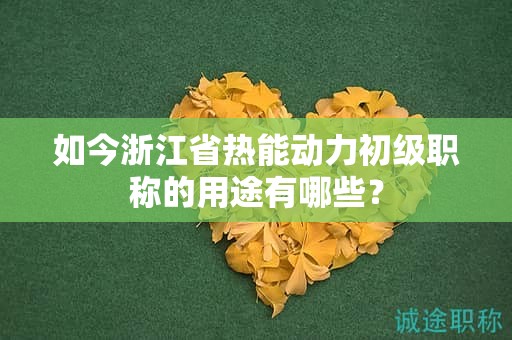 如今浙江省热能动力初级职称的用途有哪些？