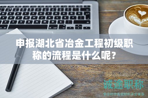 申报湖北省冶金工程初级职称的流程是什么呢？