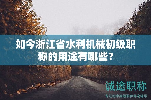 如今浙江省水利机械初级职称的用途有哪些？