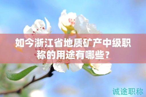 如今浙江省地质矿产中级职称的用途有哪些？