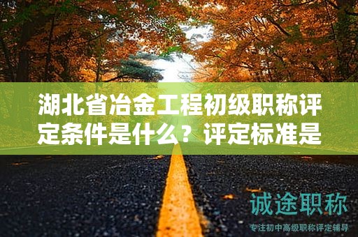 湖北省冶金工程初级职称评定条件是什么？评定标准是什么？