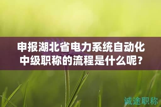 申报湖北省电力系统自动化中级职称的流程是什么呢？