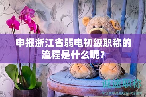 申报浙江省弱电初级职称的流程是什么呢？