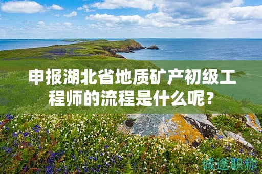 申报湖北省地质矿产初级工程师的流程是什么呢？