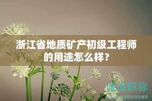 浙江省地质矿产初级工程师的用途怎么样？