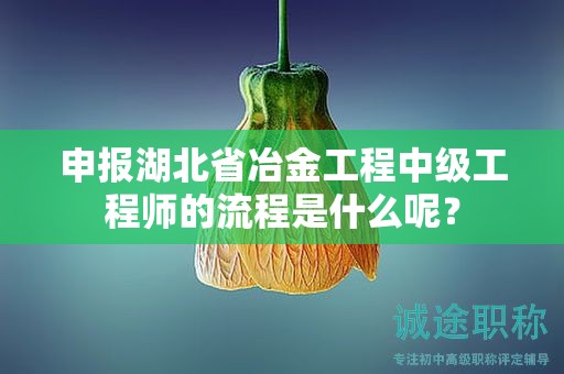 申报湖北省冶金工程中级工程师的流程是什么呢？