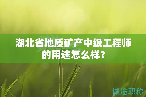 湖北省地质矿产中级工程师的用途怎么样？