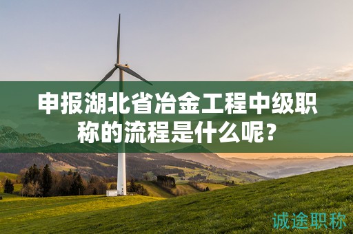 申报湖北省冶金工程中级职称的流程是什么呢？