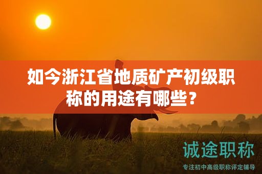 如今浙江省地质矿产初级职称的用途有哪些？