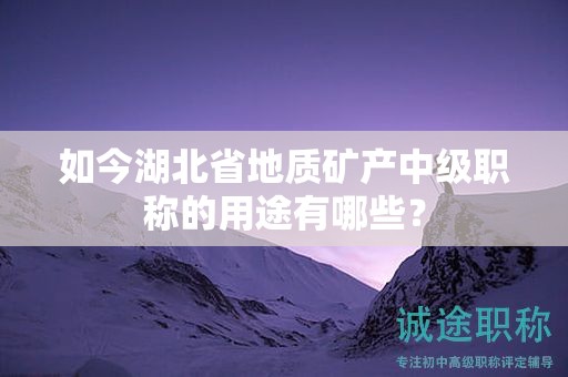 如今湖北省地质矿产中级职称的用途有哪些？