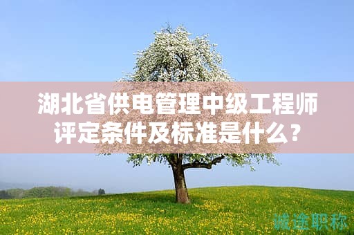 湖北省供电管理中级工程师评定条件及标准是什么？