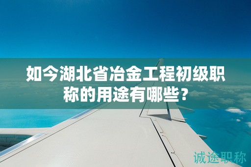 如今湖北省冶金工程初级职称的用途有哪些？