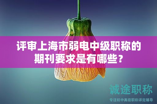 评审上海市弱电中级职称的期刊要求是有哪些？