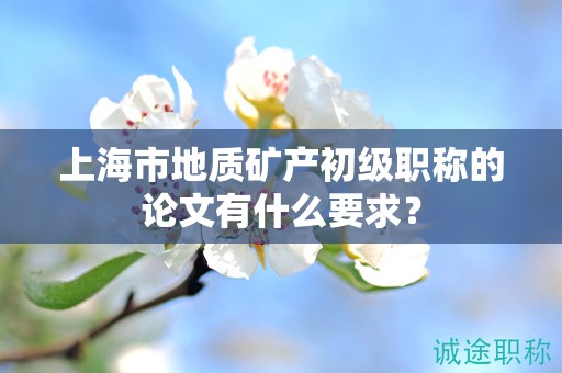 上海市地质矿产初级职称的论文有什么要求？