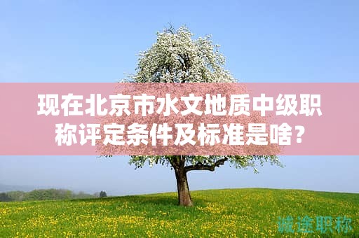 现在北京市水文地质中级职称评定条件及标准是啥？