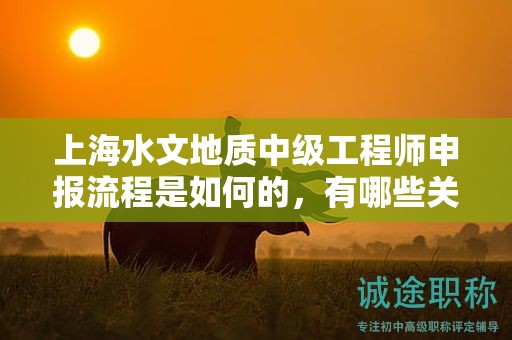 上海水文地质中级工程师申报流程是如何的，有哪些关键步骤？