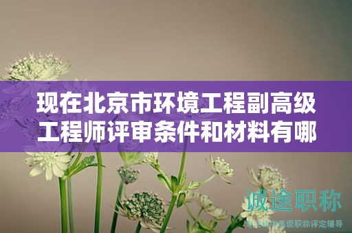现在北京市环境工程副高级工程师评审条件和材料有哪些？