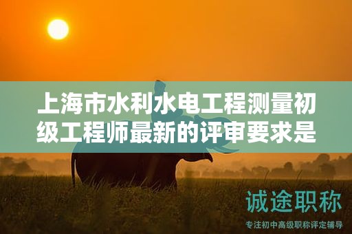 上海市水利水电工程测量初级工程师最新的评审要求是什么，如何准备？