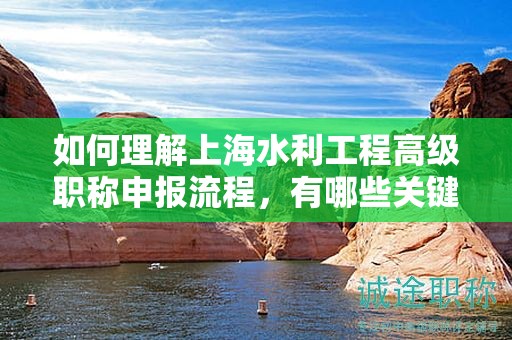 如何理解上海水利工程高级职称申报流程，有哪些关键步骤？