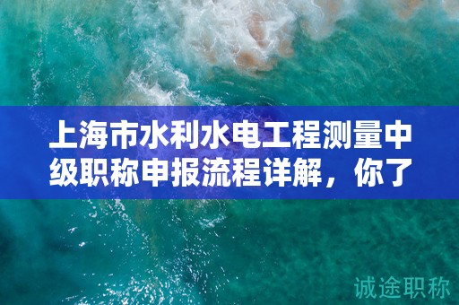 上海市水利水电工程测量中级职称申报流程详解，你了解多少？
