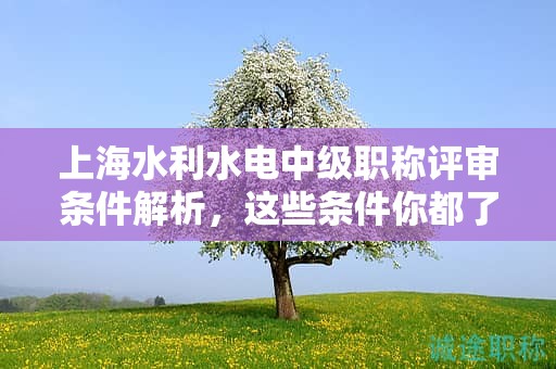 上海水利水电中级职称评审条件解析，这些条件你都了解了吗？