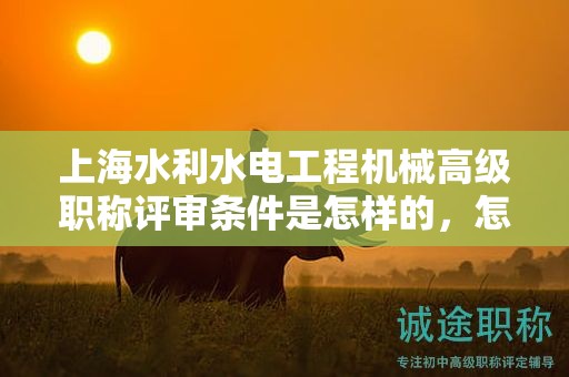 上海水利水电工程机械高级职称评审条件是怎样的，怎样做才能顺利通过？