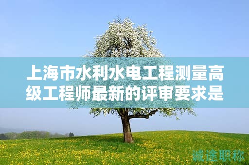 上海市水利水电工程测量高级工程师最新的评审要求是什么，如何为之做准备？