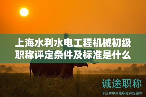 上海水利水电工程机械初级职称评定条件及标准是什么，如何达到？