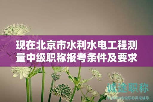 现在北京市水利水电工程测量中级职称报考条件及要求是有哪些？